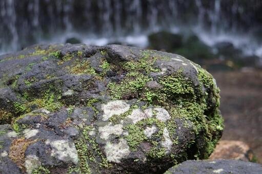 🏞️ 나가노 폭포(나가노타키) 이미지 9